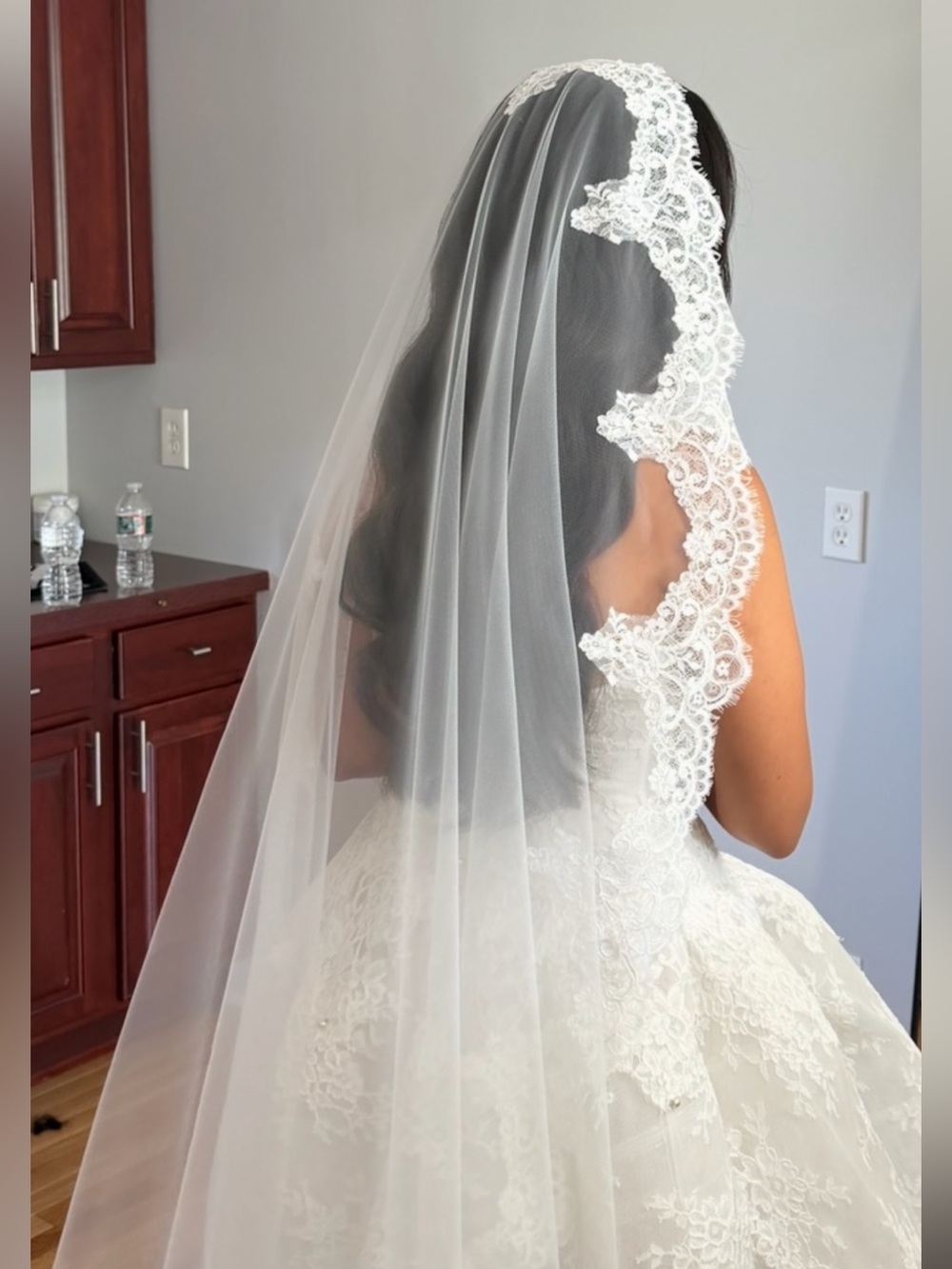 Monique Lhuillier Alexandra Veil